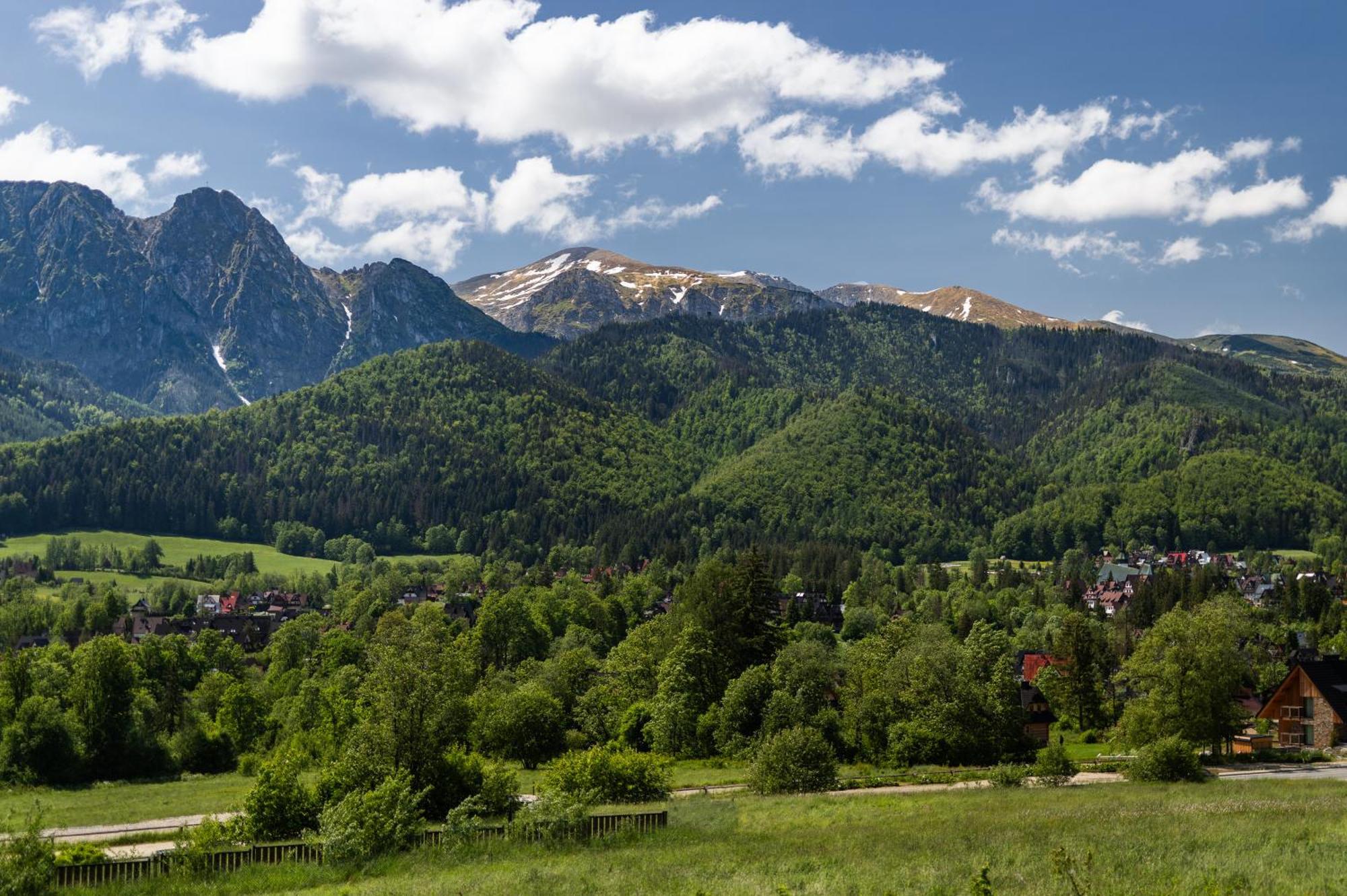 Ijg Imperial Apartamenty Szymaszkowa Zakopane Eksteriør bilde